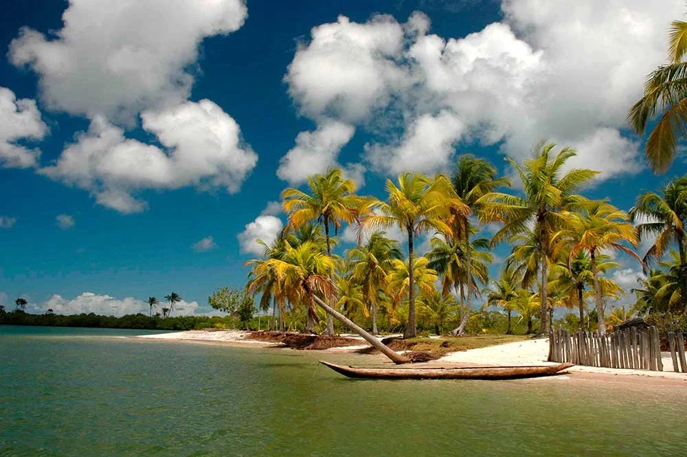 Barco e coqueiros junto às águas da Baía de Camamu